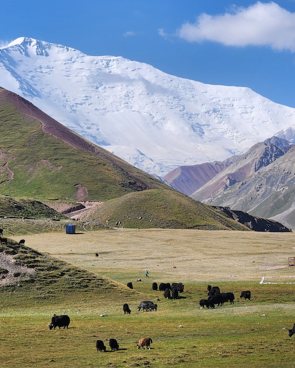 Home kyrgyzstan tulpar kol 2