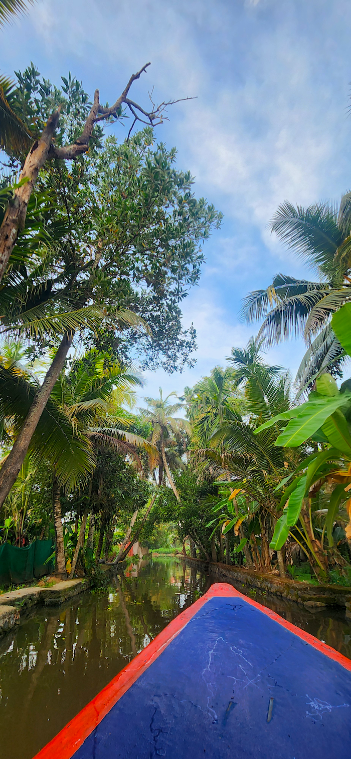 Upcoming Journeys - Little Green Tent kerala backwater boat