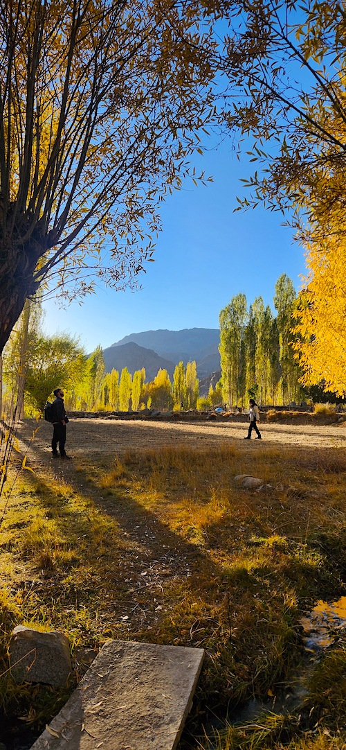 Upcoming Journeys - Little Green Tent ladakh phyang autumn